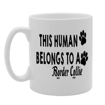 This Human Belongs To Border Collie   Printed Tea Coffee Ceramic  Mg387 - Funny Printed Coffee Mug - Great Gift Idea