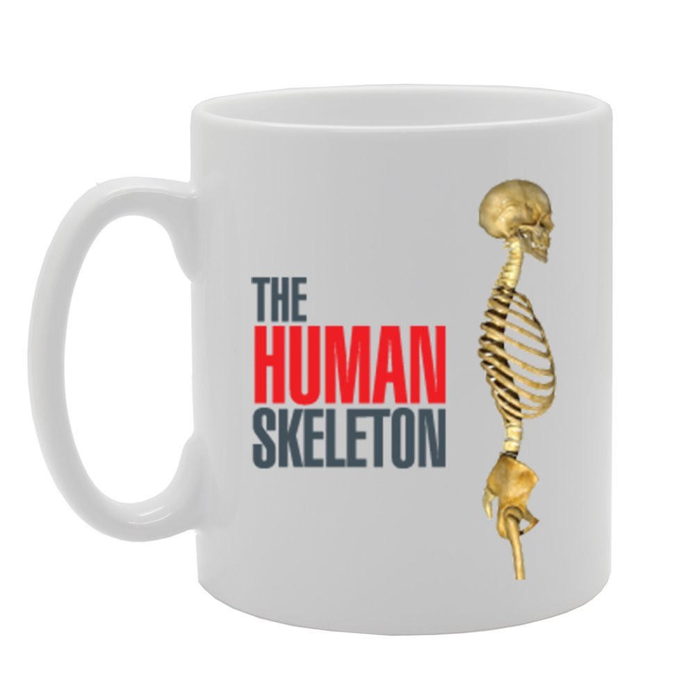 Golden The Human Skeleton   Printed Tea Coffee Ceramic  Mg2312 - Funny Printed Coffee Mug - Great Gift Idea