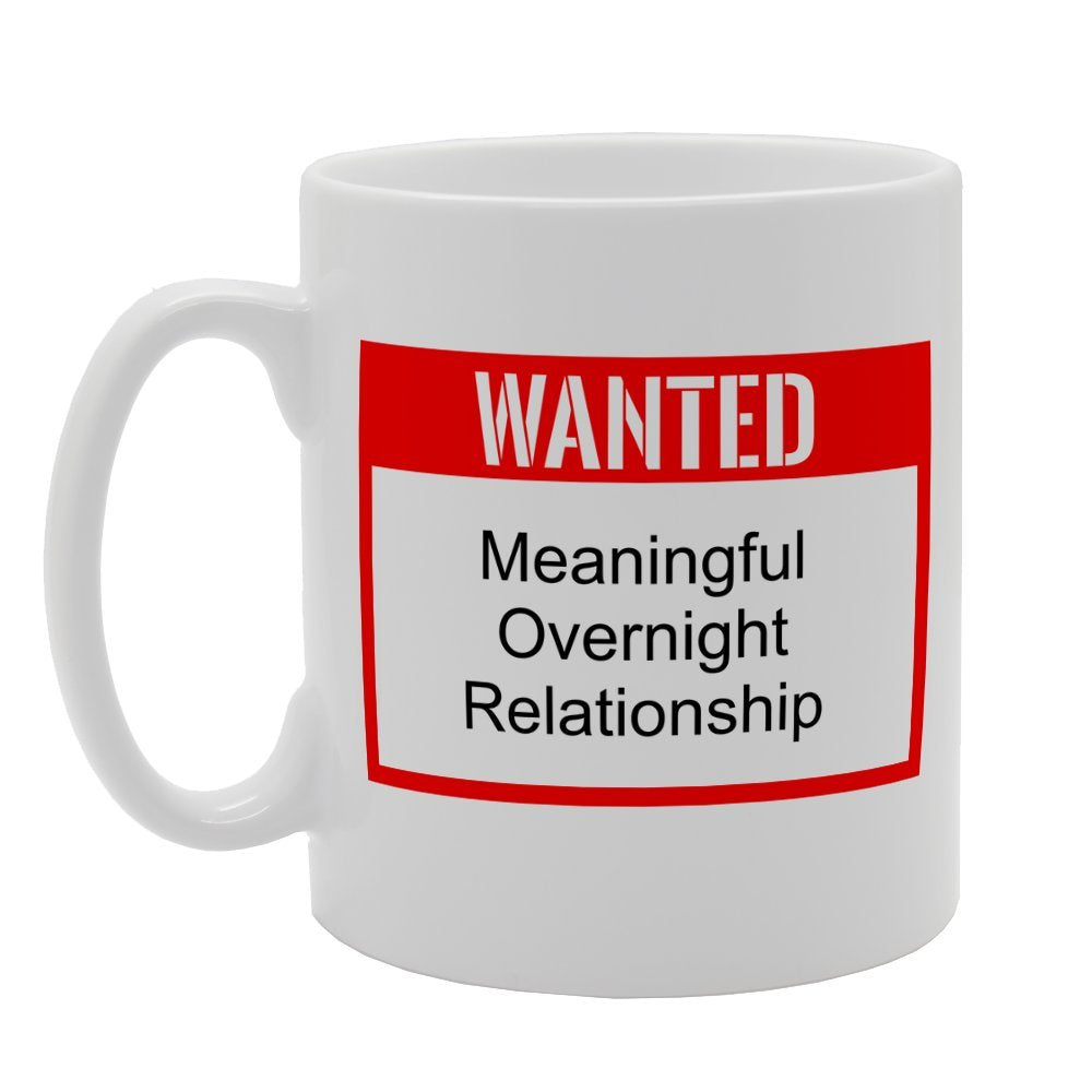 Wanted Meaningful Overnight Relationship   Printed Tea Coffee Ceramic  Mg2410 - Funny Printed Coffee Mug - Great Gift Idea