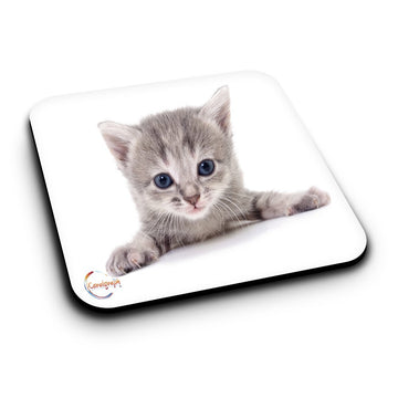ER524 Beautiful Cat Kitten Image Novelty Present Gift Printed MDF Wooden Coaster