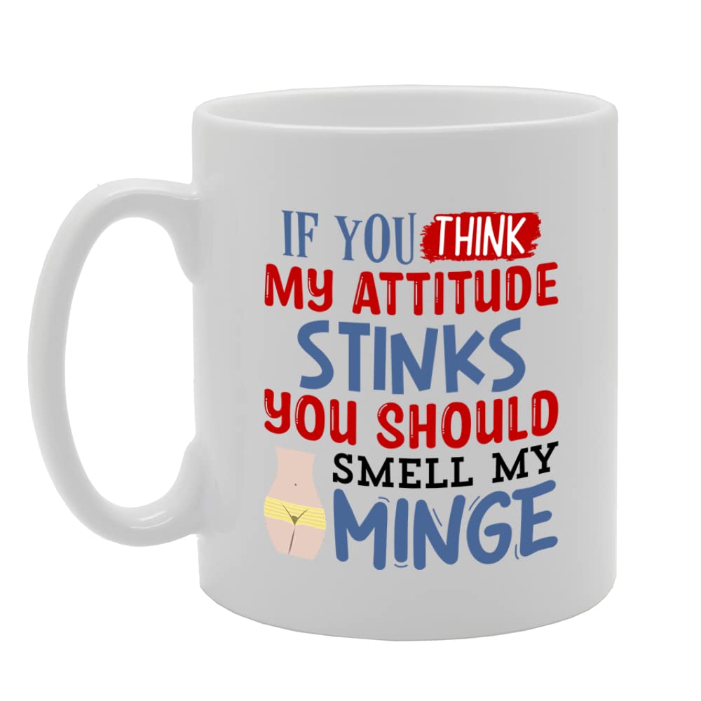 If You Think My Attitude Stinks You Should Smell My Minge   Printed Tea Coffee Ceramic  Mg5553 - Funny Printed Coffee Mug - Great Gift Idea
