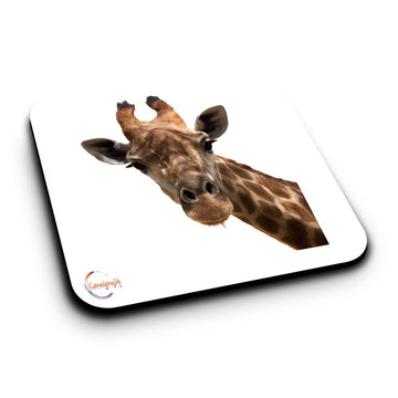 ER518 Beautiful Giraffe Image Novelty Present Gift Printed MDF Wooden Coaster