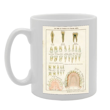 Human Teeth Set   Printed Tea Coffee Ceramic  Mg2362 - Funny Printed Coffee Mug - Great Gift Idea