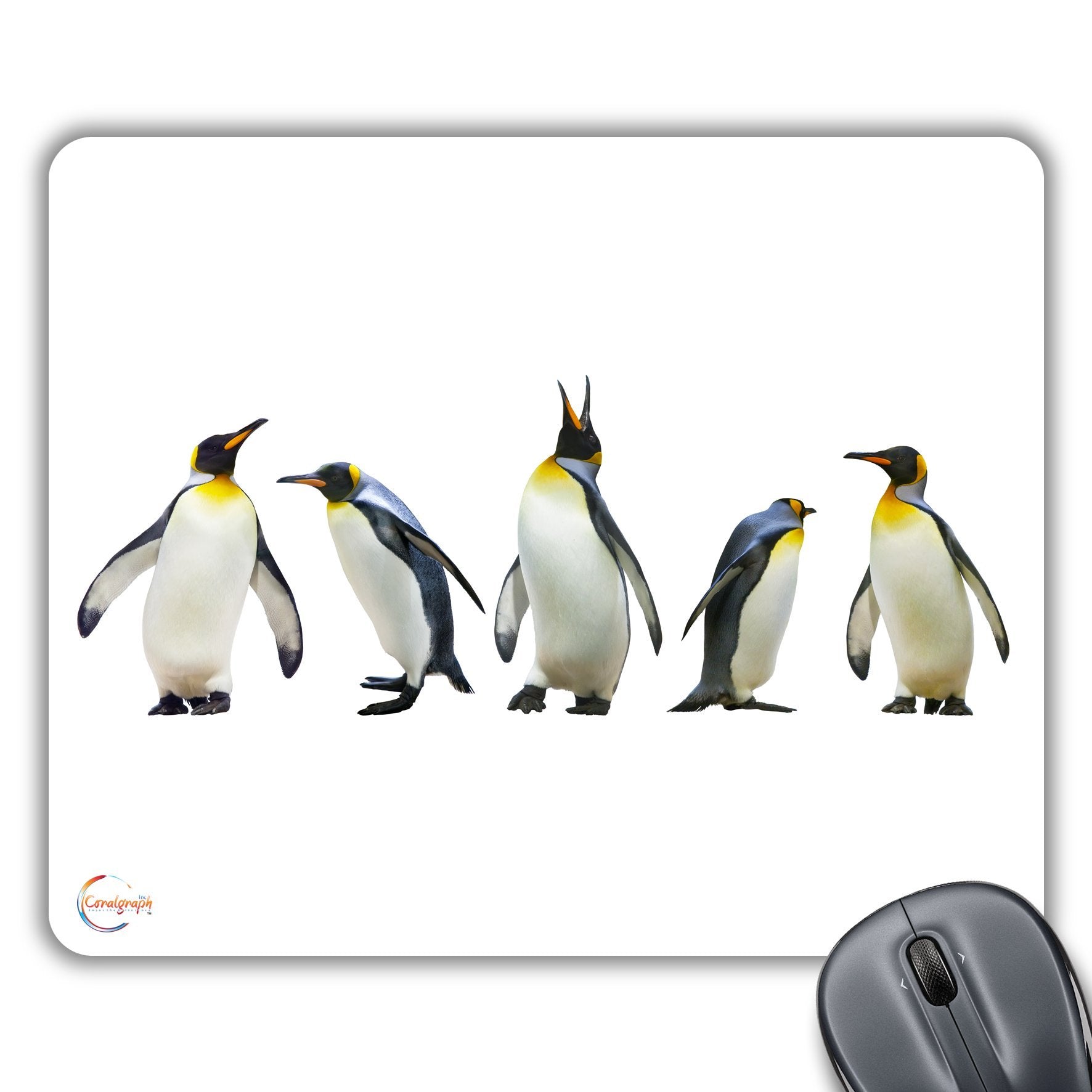 CP606 Beautiful Penguin Image Novelty Gift Printed PC Laptop Computer Mouse Mat Pad