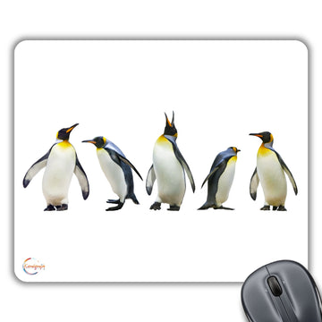CP606 Beautiful Penguin Image Novelty Gift Printed PC Laptop Computer Mouse Mat Pad