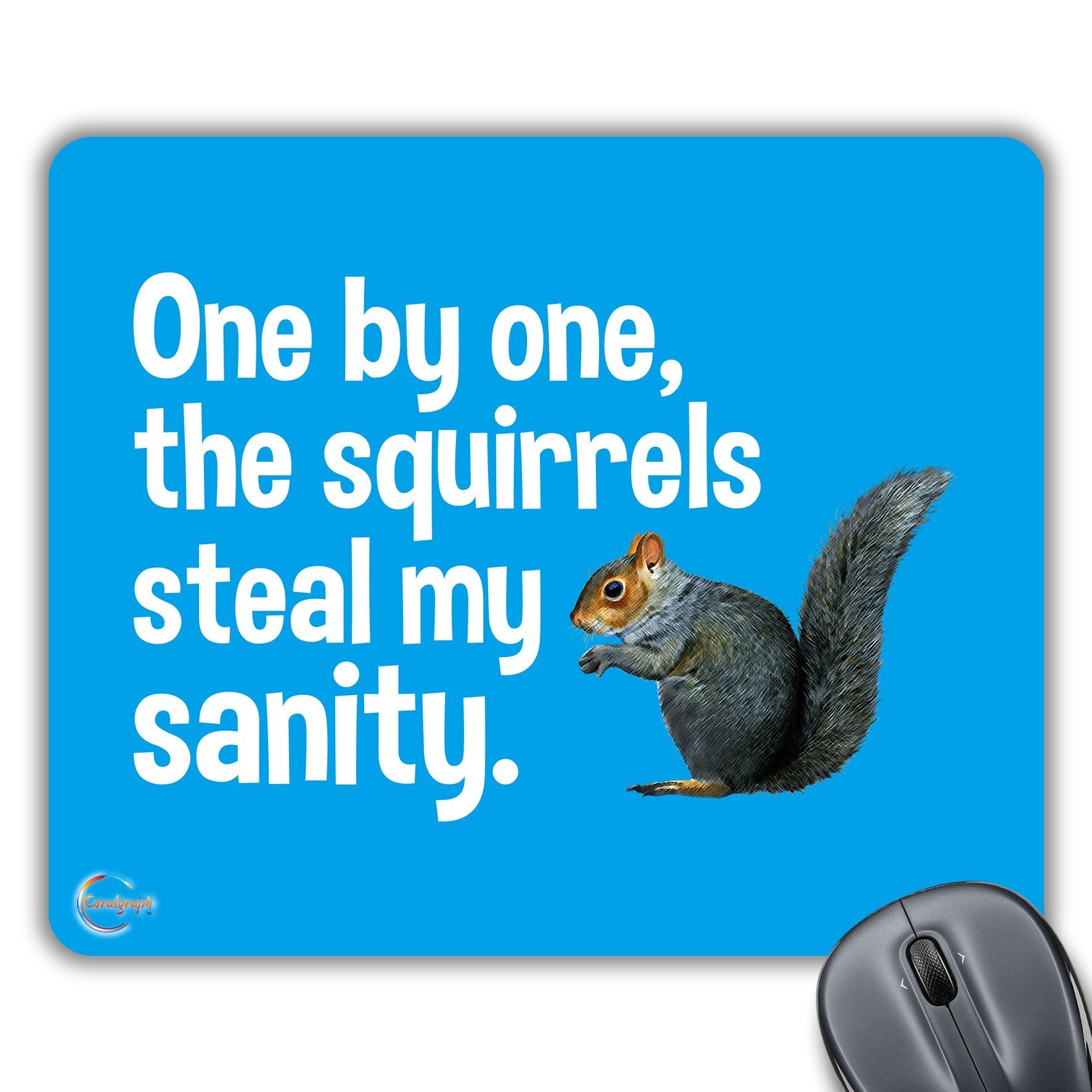 CP422 One by One The Squirrels Steal My Sanity Novelty Gift Printed PC Laptop Computer Mouse Mat Pad