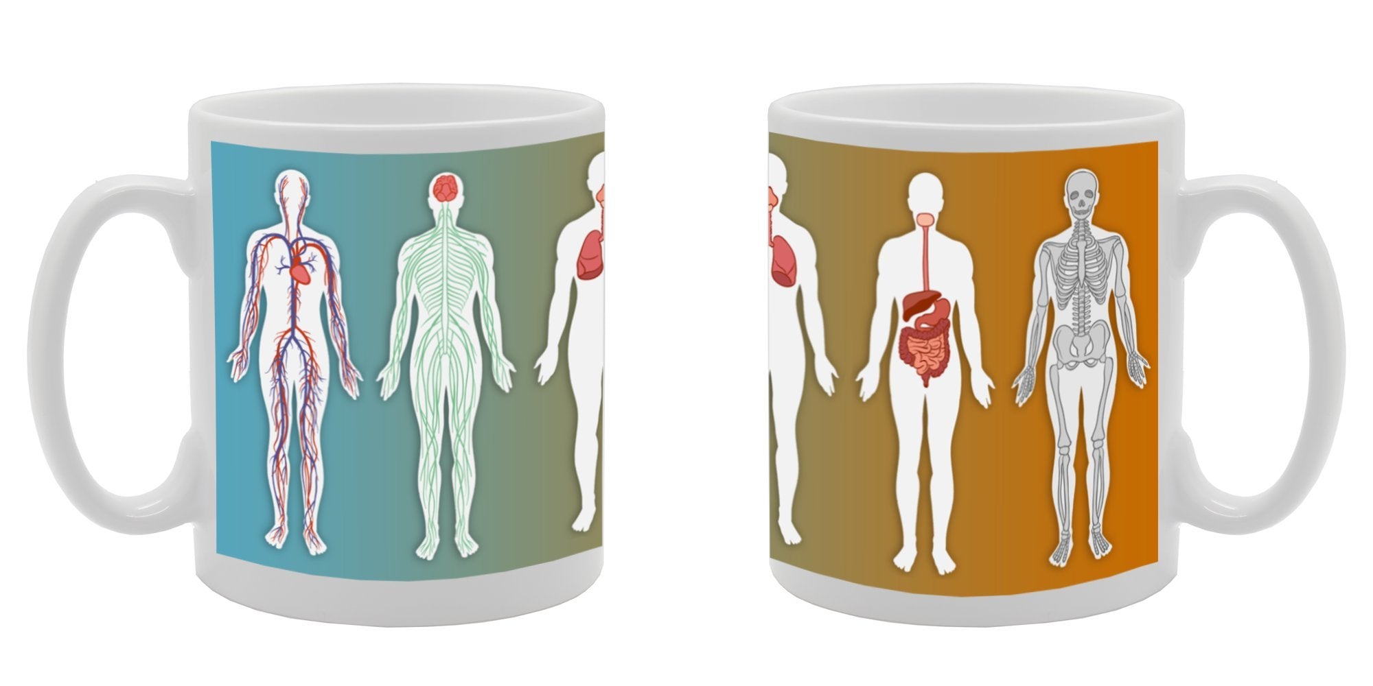 Human Anatomy/Body Art   Printed Tea Coffee Ceramic  Mg326 - Funny Printed Coffee Mug - Great Gift Idea