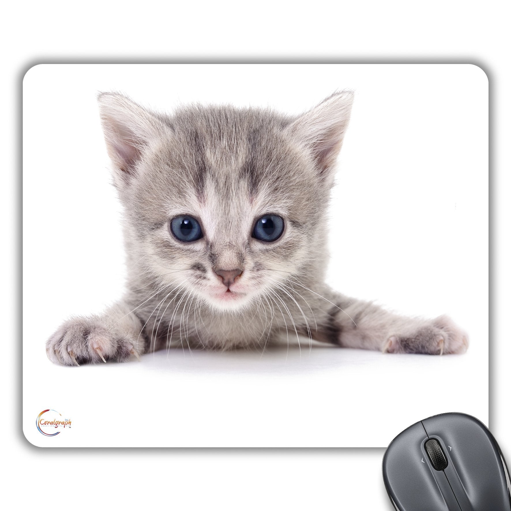 CP624 Beautiful Cat Kitten Image Novelty Gift Printed PC Laptop Computer Mouse Mat Pad